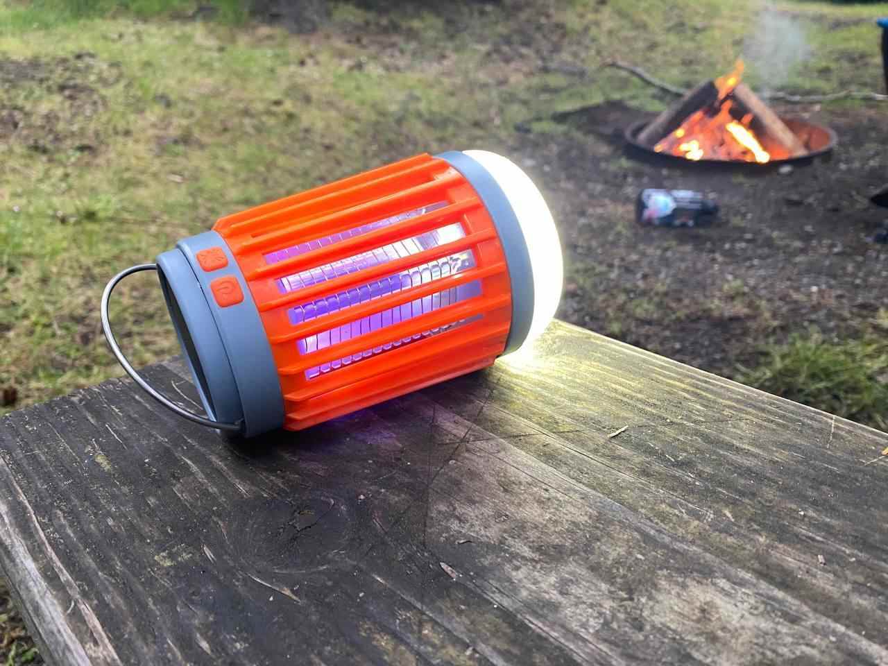 Zap Guardian Bugs Caught